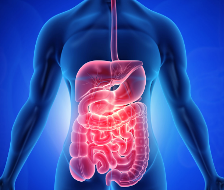 Gastro Surgery