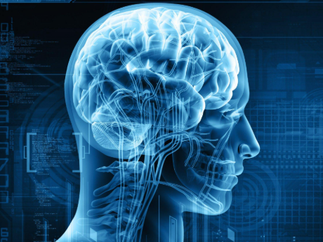 Neurology