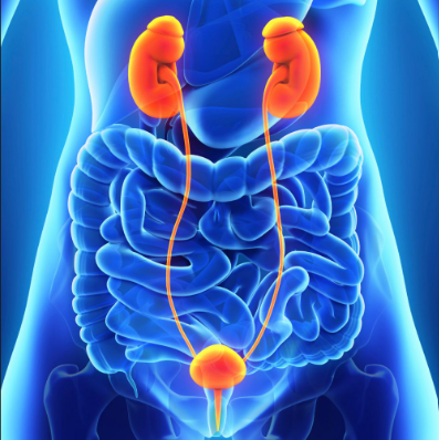 Urology